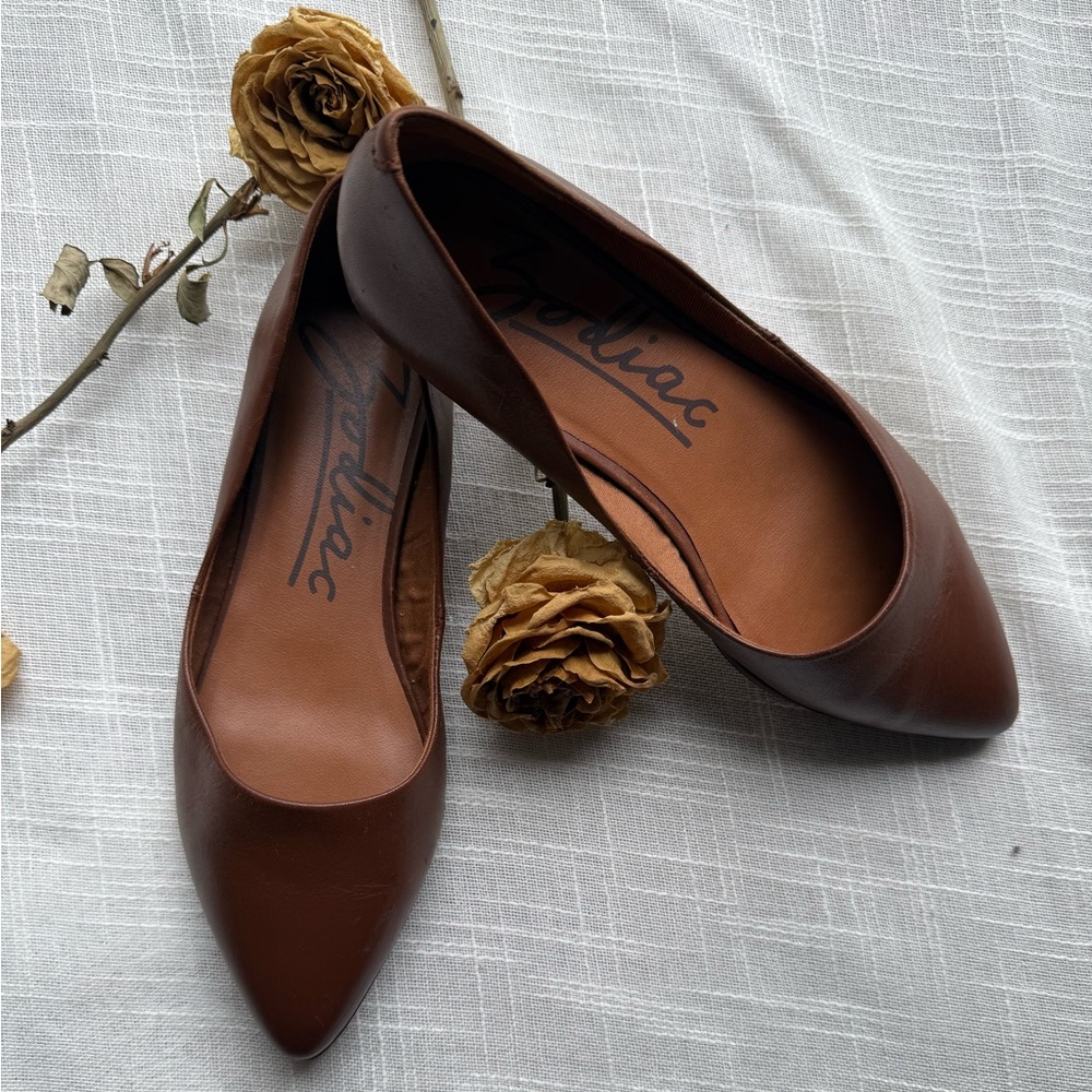 Zodiac Hill Snake Embossed Pointed Toe Flat